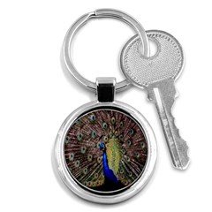 Multi Colored Peacock Key Chains (round) 