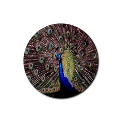 Multi Colored Peacock Rubber Coaster (round)  by Simbadda