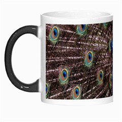 Multi Colored Peacock Morph Mugs