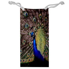 Multi Colored Peacock Jewelry Bag