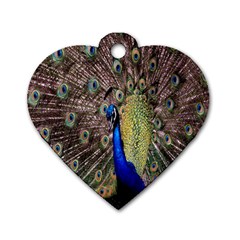 Multi Colored Peacock Dog Tag Heart (one Side) by Simbadda