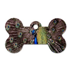 Multi Colored Peacock Dog Tag Bone (two Sides)