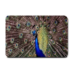 Multi Colored Peacock Small Doormat  by Simbadda