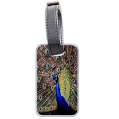 Multi Colored Peacock Luggage Tags (two Sides)