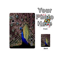 Multi Colored Peacock Playing Cards 54 (mini) 