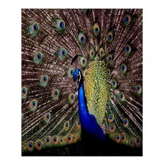 Multi Colored Peacock Shower Curtain 60  X 72  (medium) 