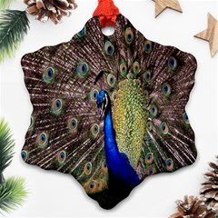 Multi Colored Peacock Ornament (snowflake)