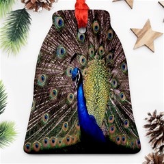 Multi Colored Peacock Ornament (bell)