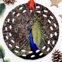 Multi Colored Peacock Round Filigree Ornament (two Sides)