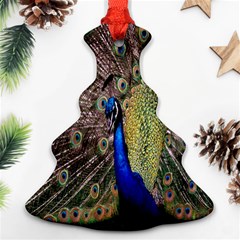 Multi Colored Peacock Christmas Tree Ornament (two Sides)