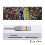 Multi Colored Peacock Memory Card Reader (Stick)  Front