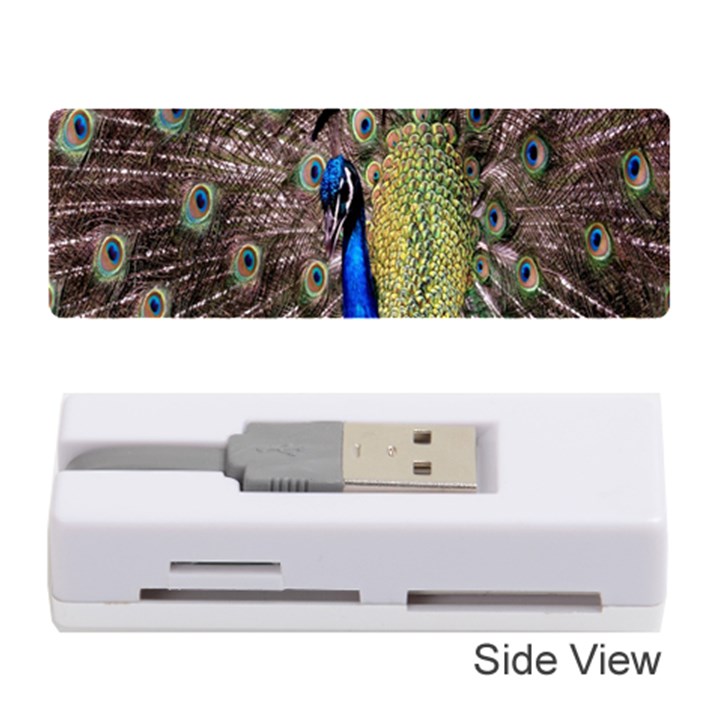 Multi Colored Peacock Memory Card Reader (Stick) 