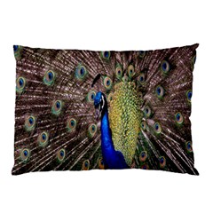 Multi Colored Peacock Pillow Case (two Sides)