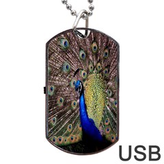 Multi Colored Peacock Dog Tag Usb Flash (two Sides)