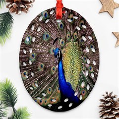 Multi Colored Peacock Oval Filigree Ornament (two Sides)