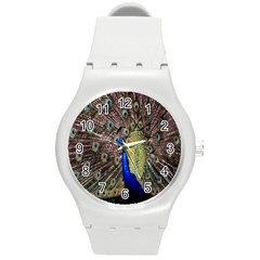 Multi Colored Peacock Round Plastic Sport Watch (m) by Simbadda