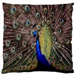 Multi Colored Peacock Large Cushion Case (One Side) Front