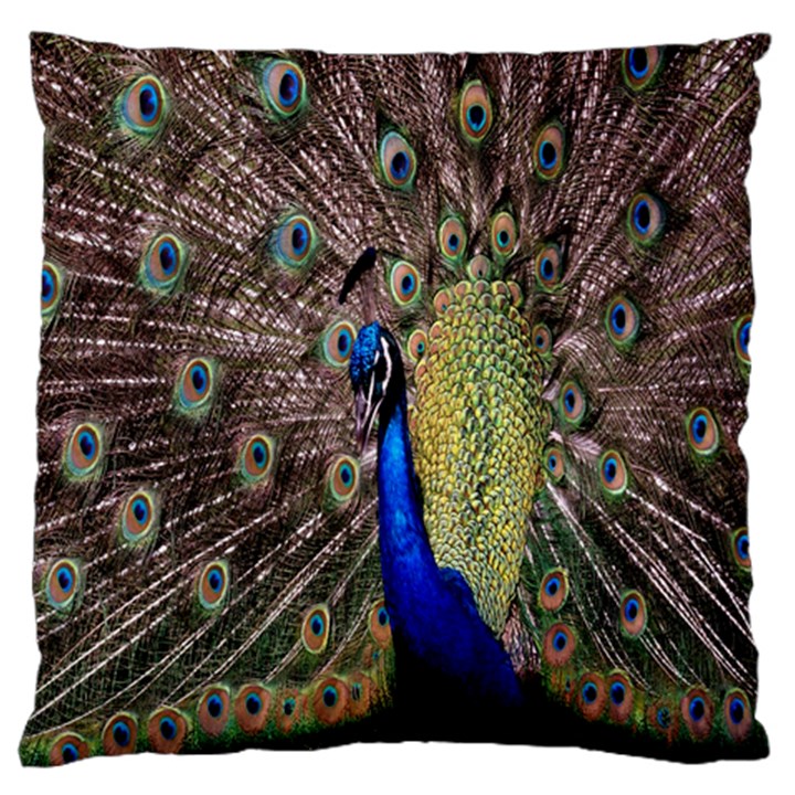 Multi Colored Peacock Large Cushion Case (One Side)