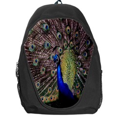 Multi Colored Peacock Backpack Bag by Simbadda