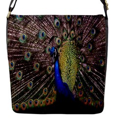 Multi Colored Peacock Flap Messenger Bag (s)