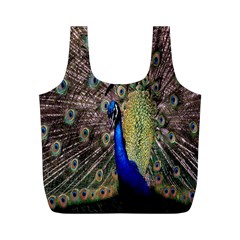 Multi Colored Peacock Full Print Recycle Bags (m) 