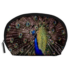 Multi Colored Peacock Accessory Pouches (large) 