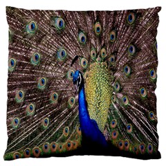 Multi Colored Peacock Standard Flano Cushion Case (one Side) by Simbadda