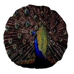 Multi Colored Peacock Large 18  Premium Flano Round Cushions