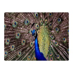 Multi Colored Peacock Double Sided Flano Blanket (mini) 