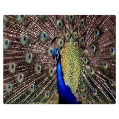 Multi Colored Peacock Double Sided Flano Blanket (medium)  by Simbadda