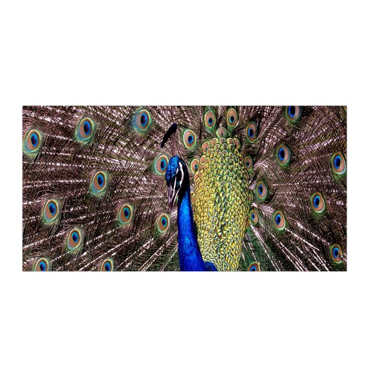 Multi Colored Peacock Satin Wrap