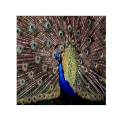 Multi Colored Peacock Small Satin Scarf (square) by Simbadda