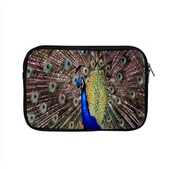 Multi Colored Peacock Apple Macbook Pro 15  Zipper Case