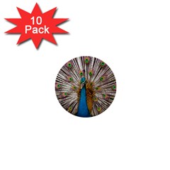 Indian Peacock Plumage 1  Mini Buttons (10 Pack)  by Simbadda