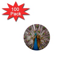 Indian Peacock Plumage 1  Mini Buttons (100 Pack)  by Simbadda