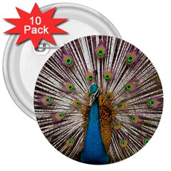 Indian Peacock Plumage 3  Buttons (10 Pack)  by Simbadda