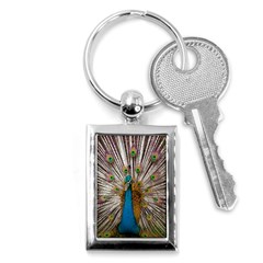 Indian Peacock Plumage Key Chains (rectangle)  by Simbadda