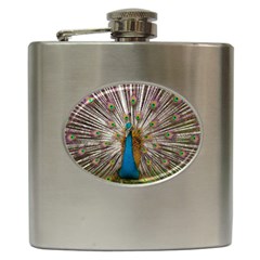 Indian Peacock Plumage Hip Flask (6 Oz) by Simbadda