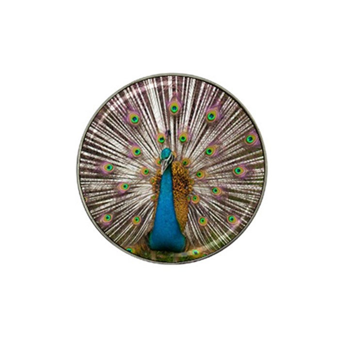 Indian Peacock Plumage Hat Clip Ball Marker (4 pack)