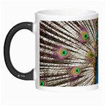 Indian Peacock Plumage Morph Mugs Left