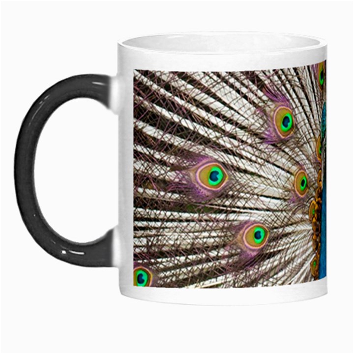 Indian Peacock Plumage Morph Mugs