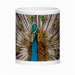 Indian Peacock Plumage Morph Mugs Center