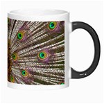 Indian Peacock Plumage Morph Mugs Right