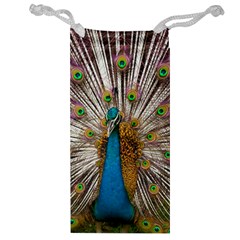 Indian Peacock Plumage Jewelry Bag by Simbadda