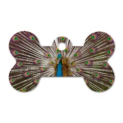 Indian Peacock Plumage Dog Tag Bone (one Side) by Simbadda