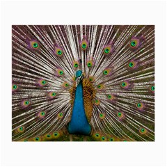 Indian Peacock Plumage Small Glasses Cloth (2-side) by Simbadda