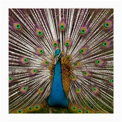 Indian Peacock Plumage Medium Glasses Cloth by Simbadda