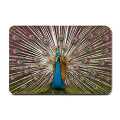 Indian Peacock Plumage Small Doormat  by Simbadda