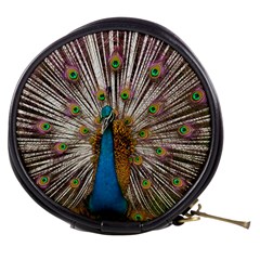 Indian Peacock Plumage Mini Makeup Bags