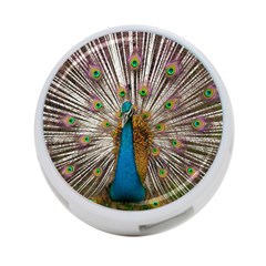 Indian Peacock Plumage 4-port Usb Hub (two Sides)  by Simbadda